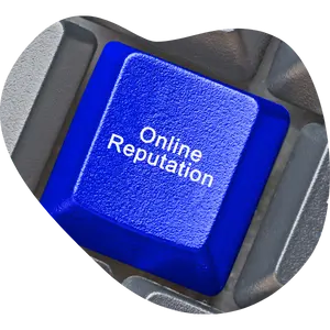 Online-Reputation-Management