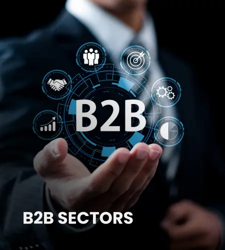 B2B-Sector-Digital-Strategies
